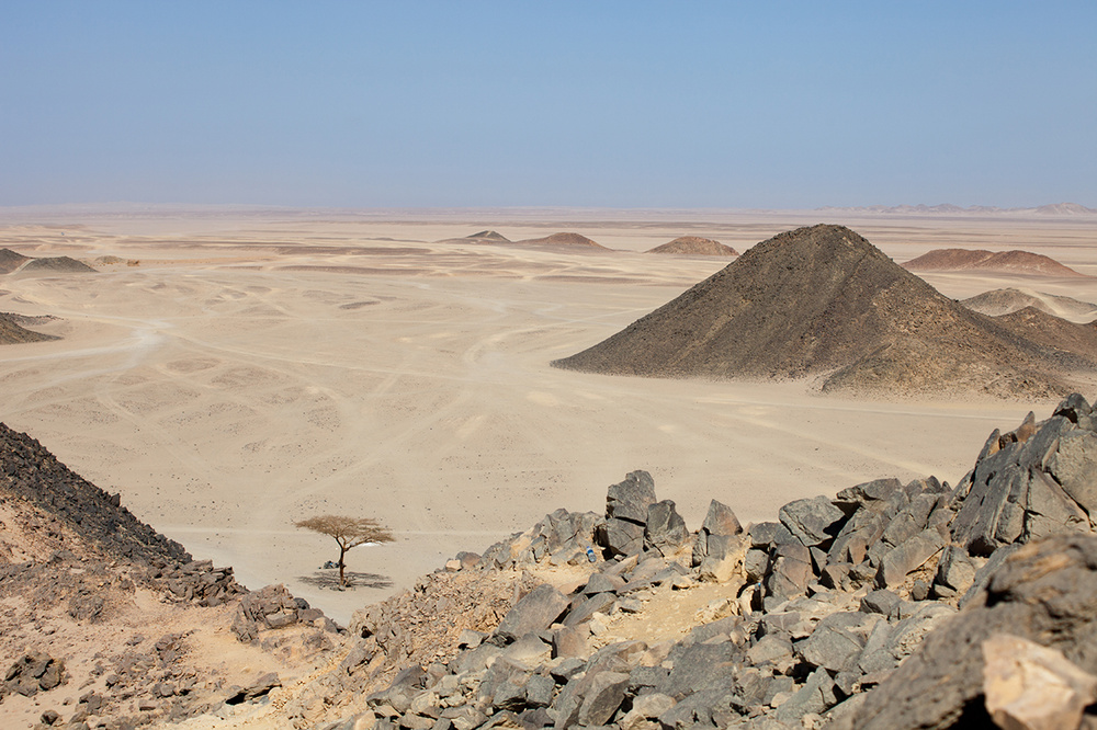 EGYPT 2012-13