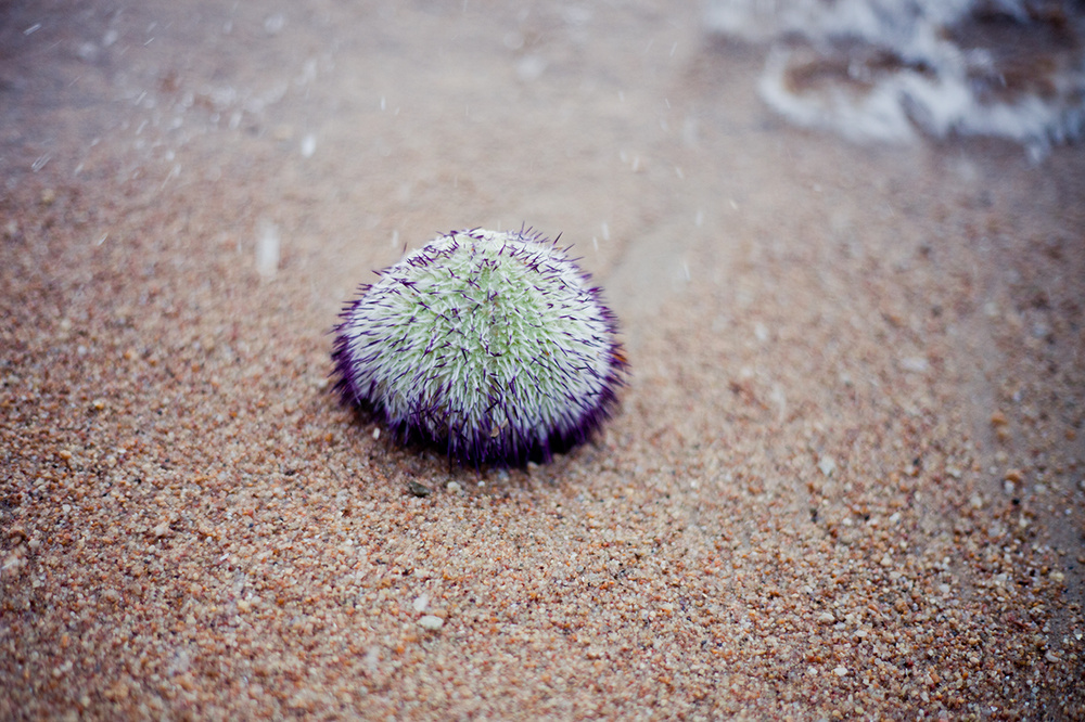 thailand 2013