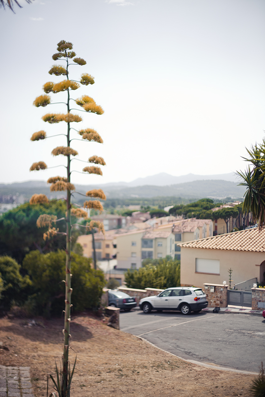 SPAIN 2012