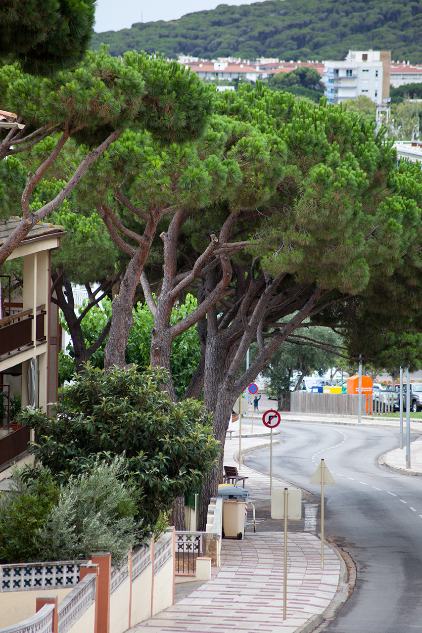 SPAIN 2012