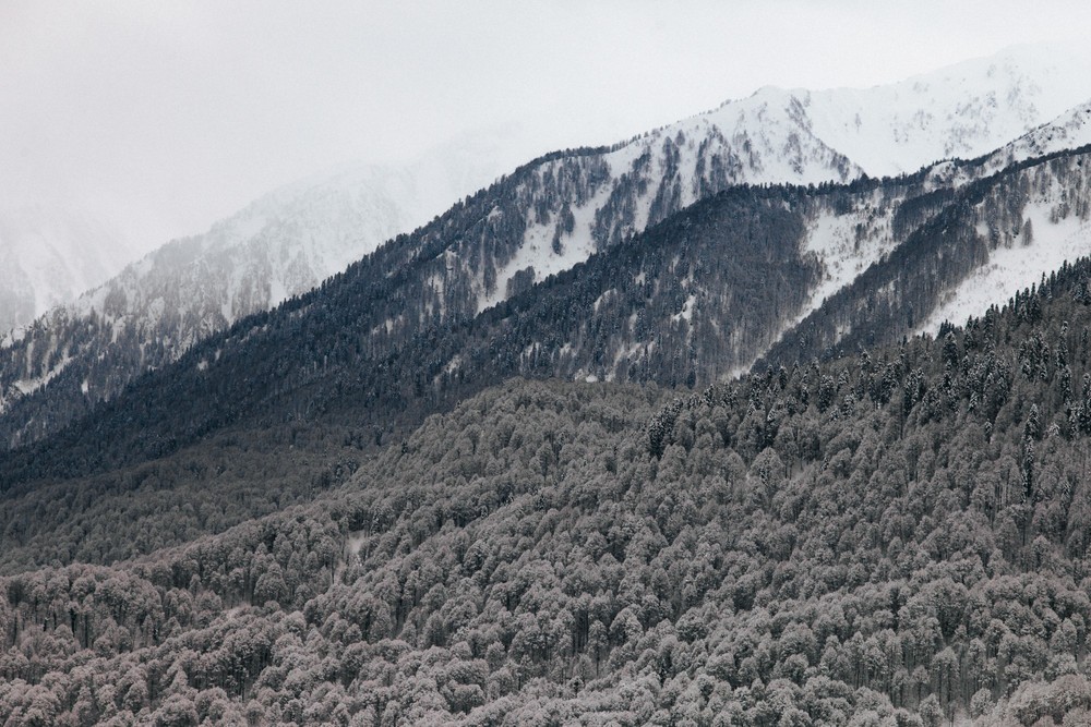 SOCHI 2017