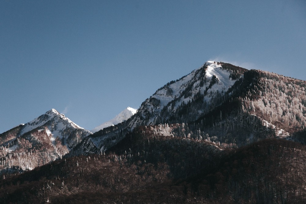 SOCHI 2017