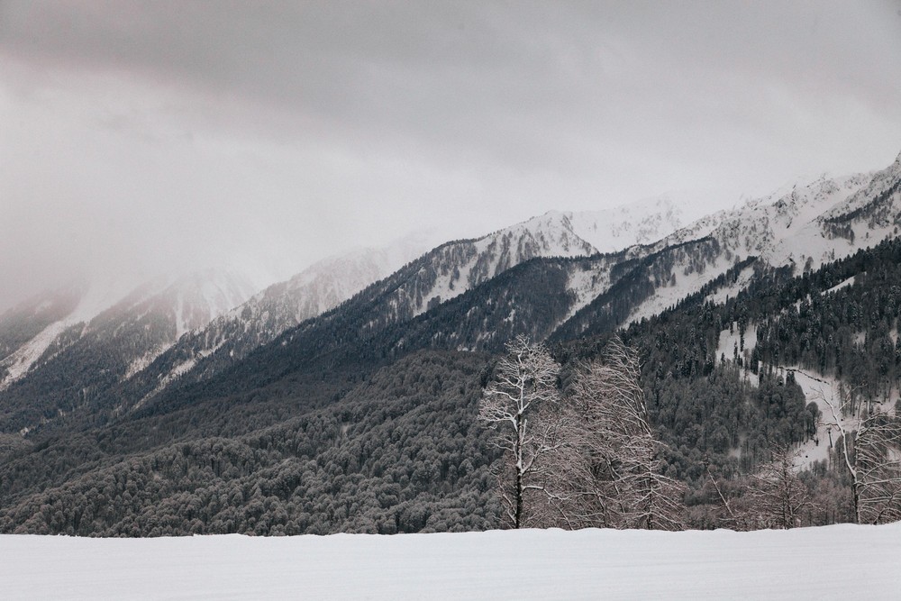 SOCHI 2017