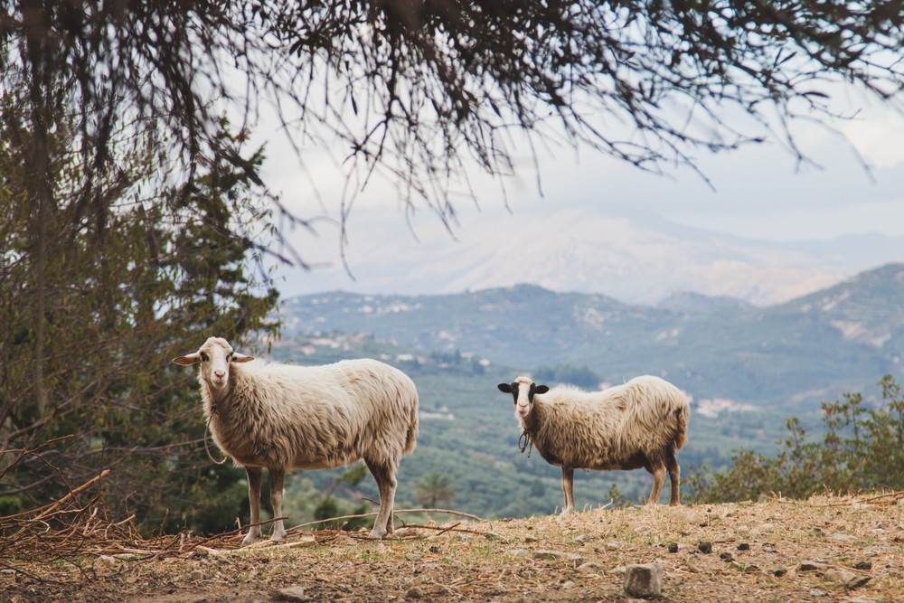 CRETE 