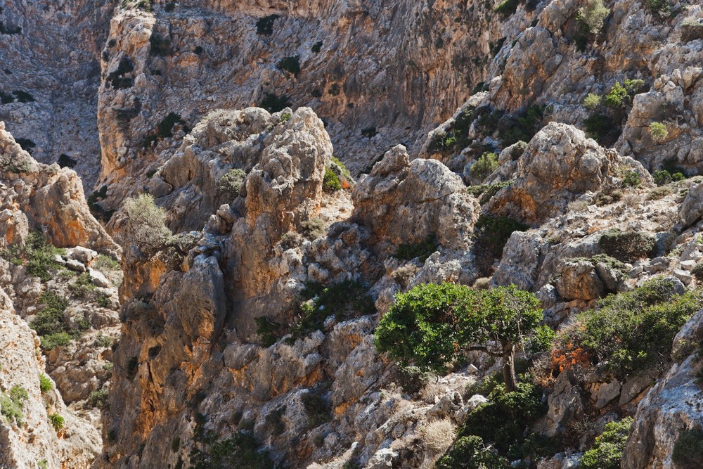 CRETE 