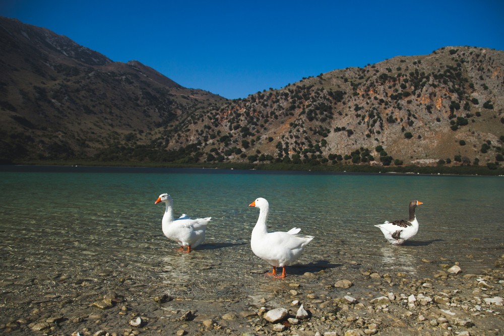 CRETE 