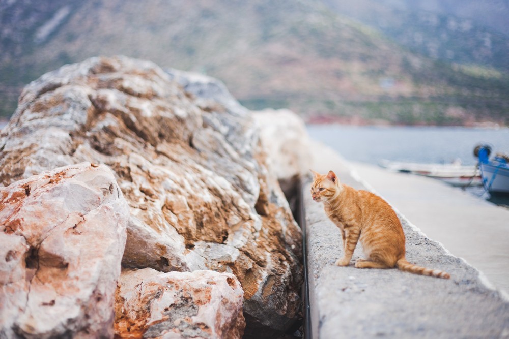 CRETE 