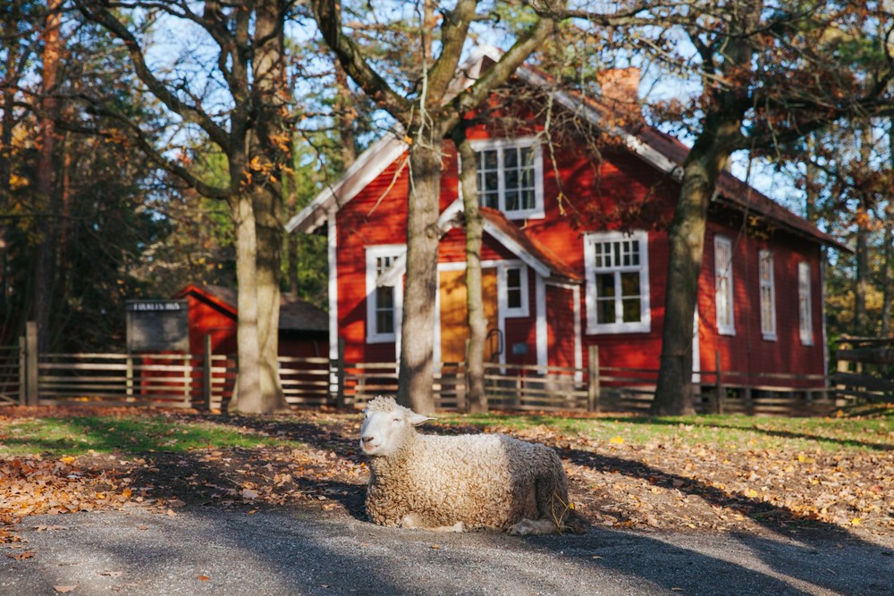 STOCKHOLM 2017