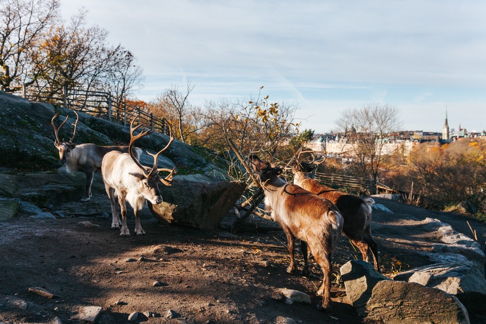 STOCKHOLM 2017