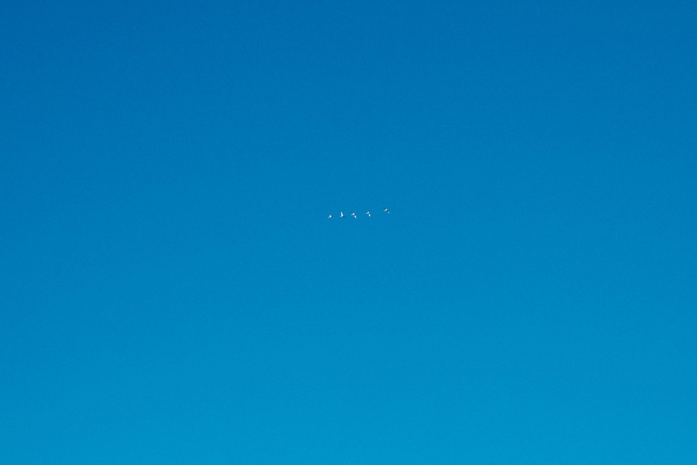 STOCKHOLM 2017