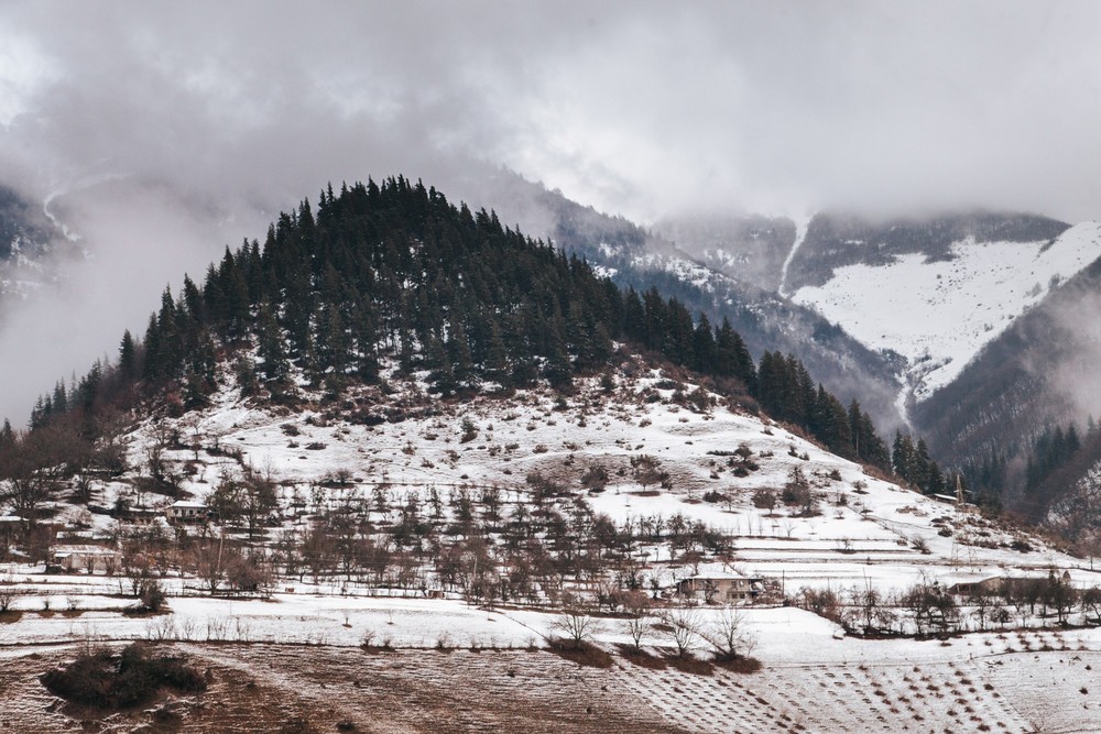 GEORGIA