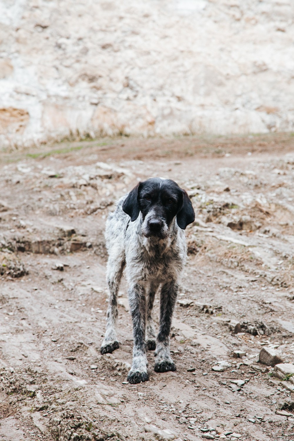 GEORGIA