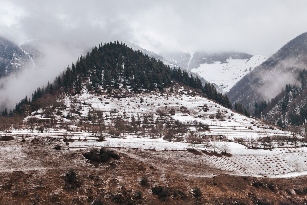 GEORGIA