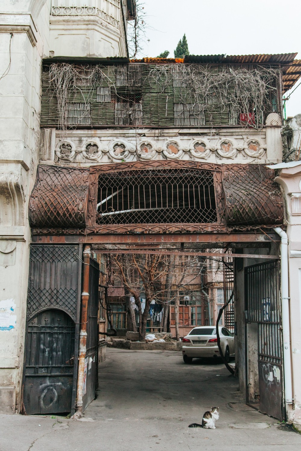 GEORGIA