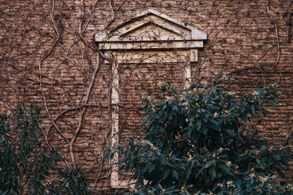 GEORGIA