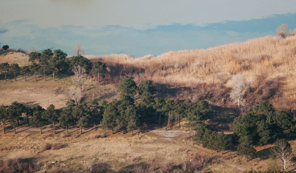 GEORGIA