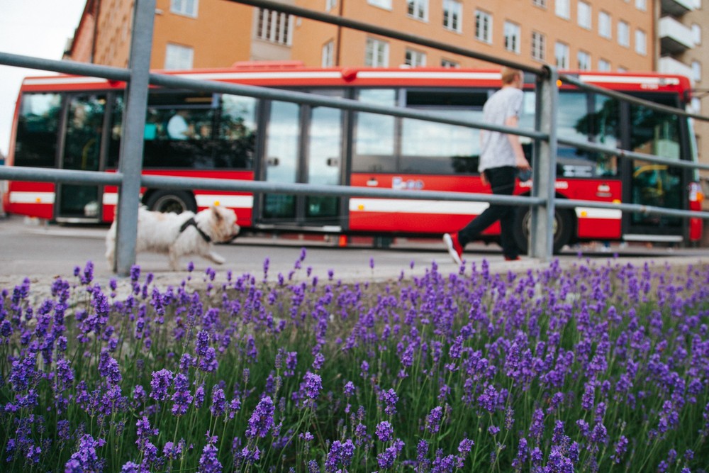STOCKHOLM 2019