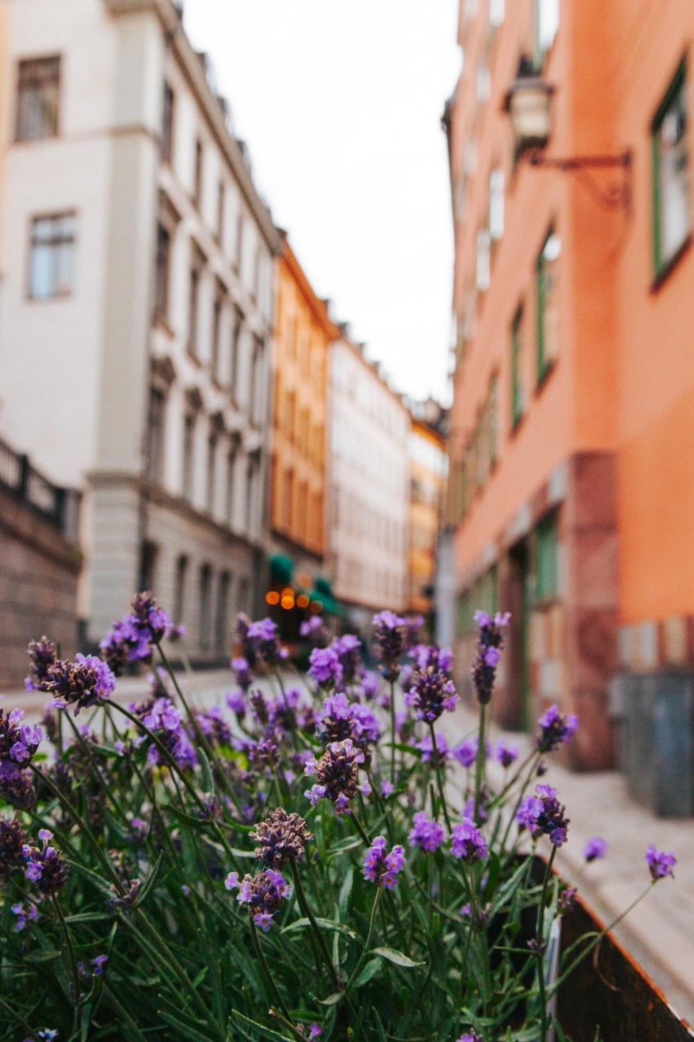 STOCKHOLM 2019