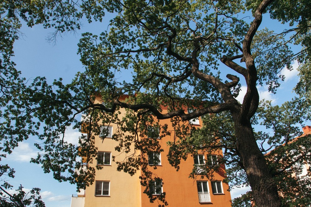 STOCKHOLM 2019
