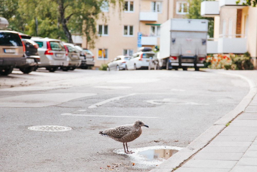 STOCKHOLM 2019