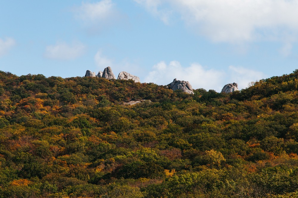 CRIMEA 
