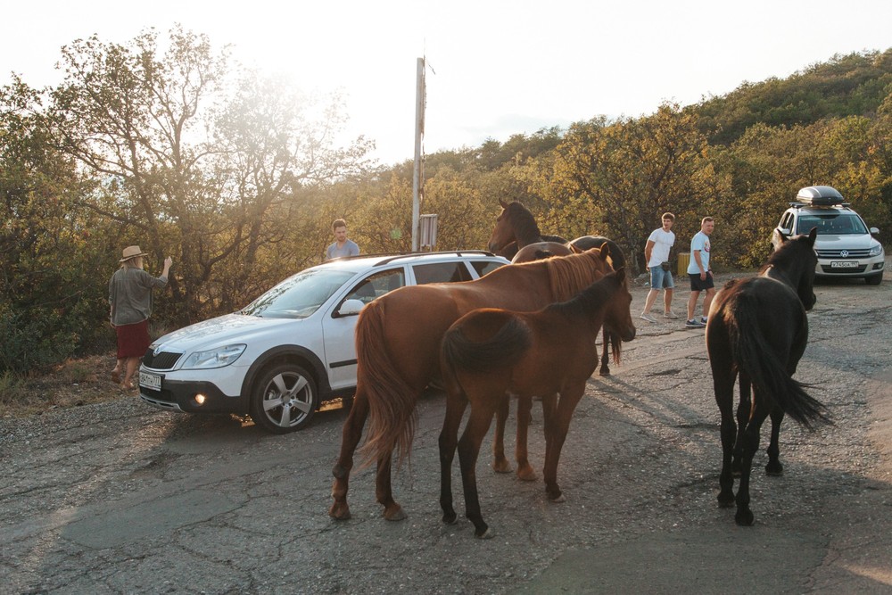CRIMEA 