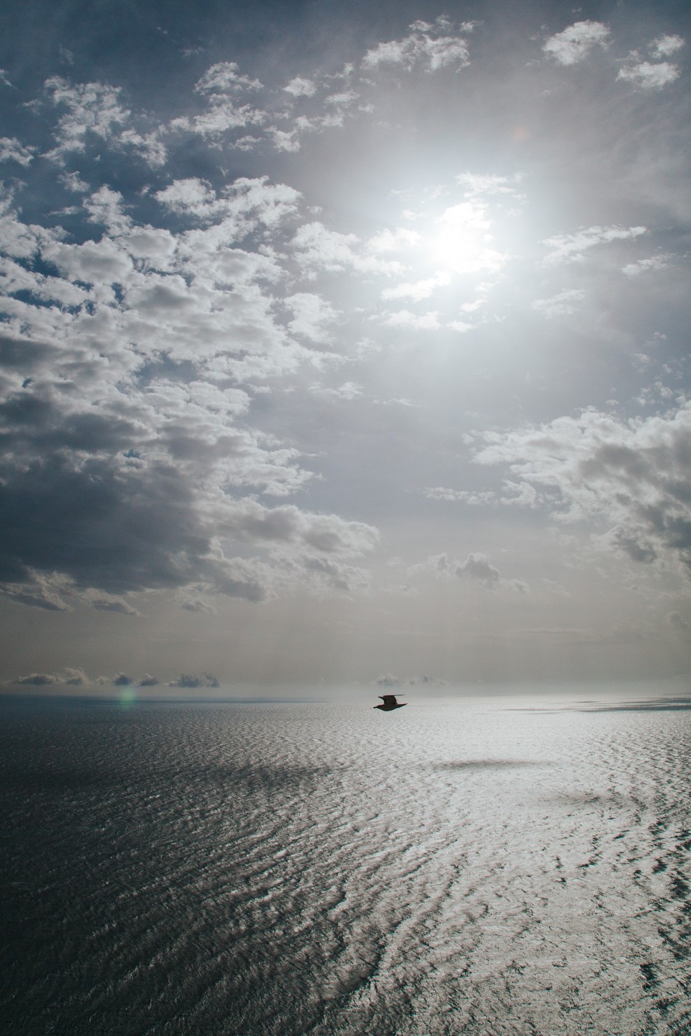 CRIMEA 