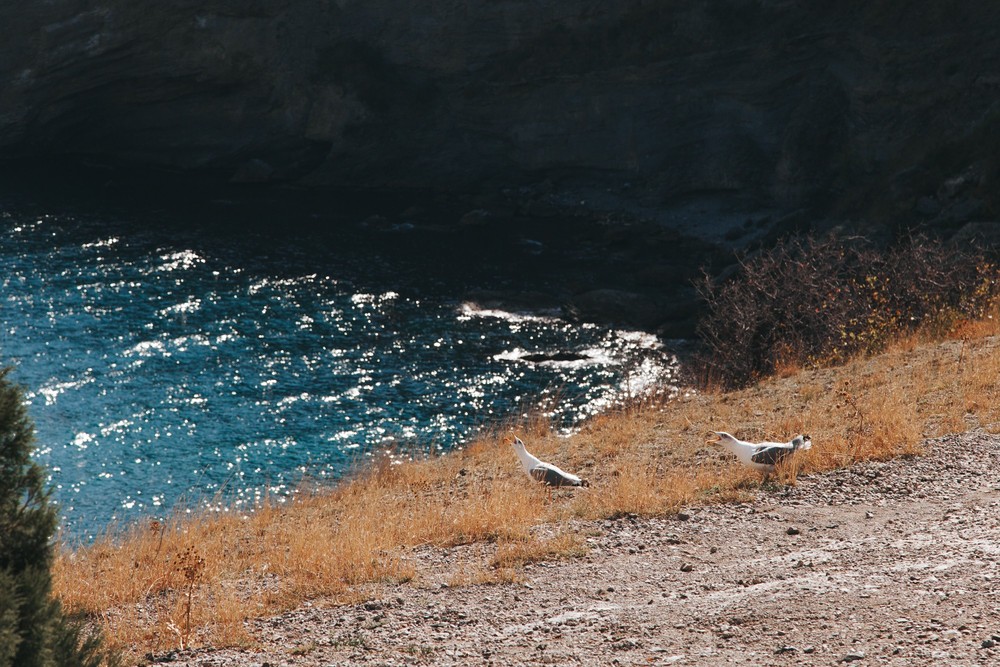 CRIMEA 