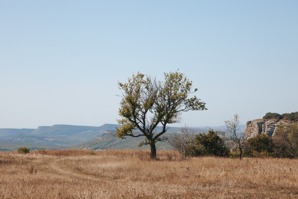 CRIMEA 