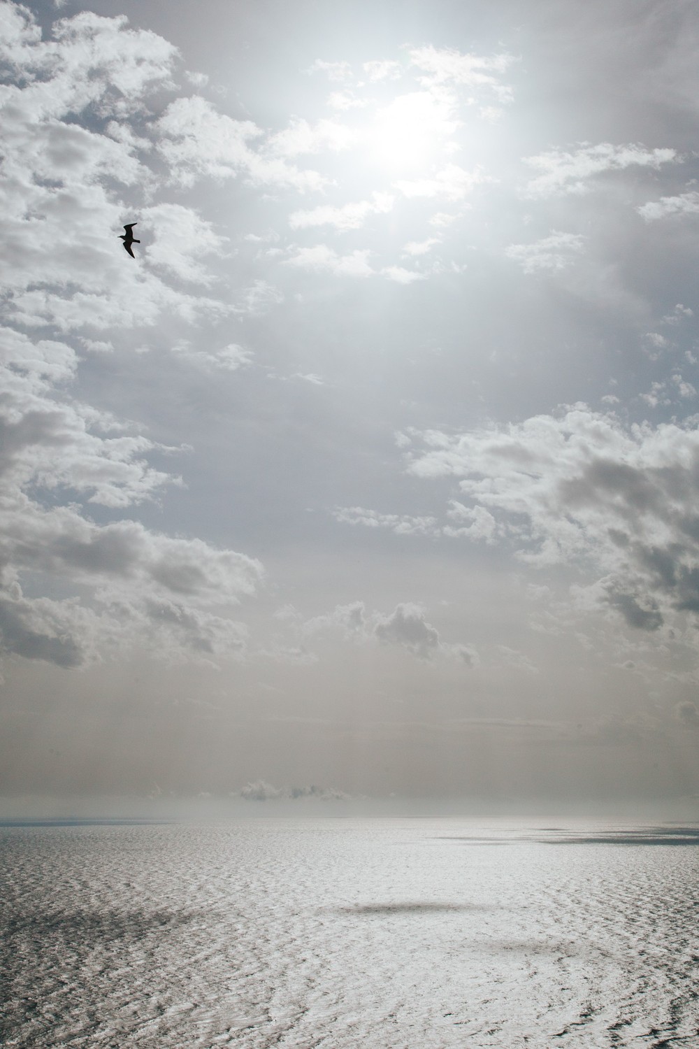 CRIMEA 