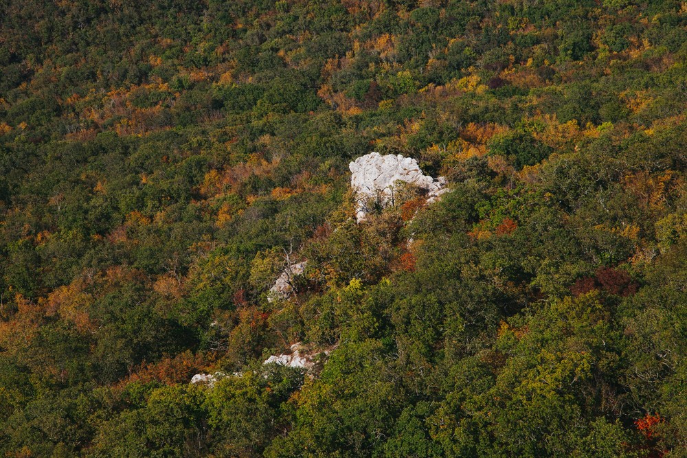 CRIMEA 