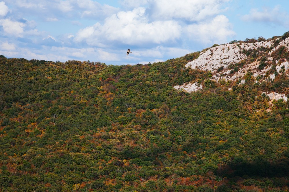 CRIMEA 