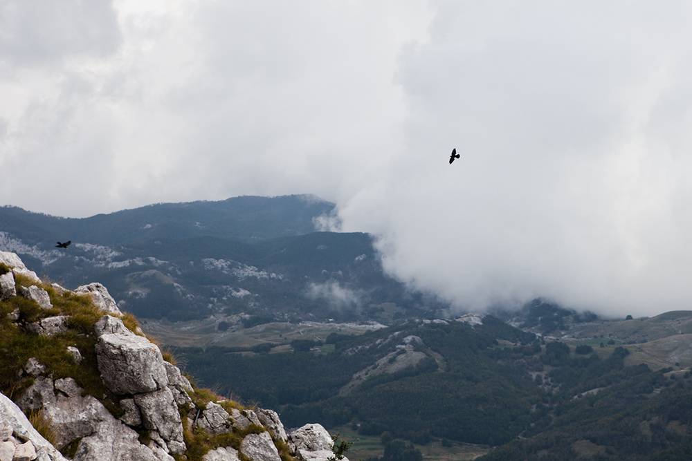 MONTENEGRO 2014