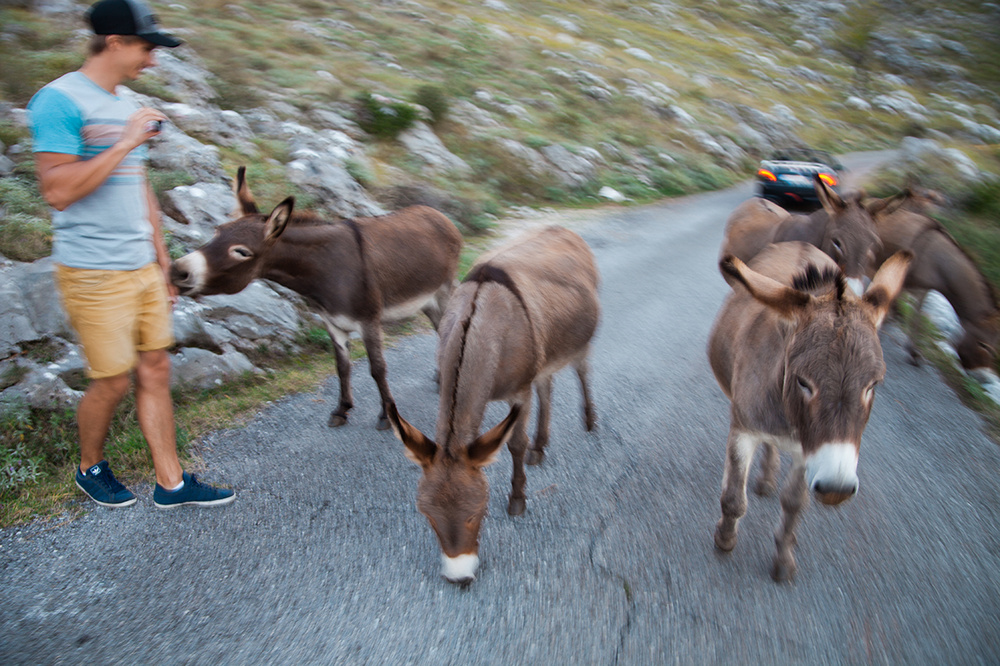 MONTENEGRO 2014