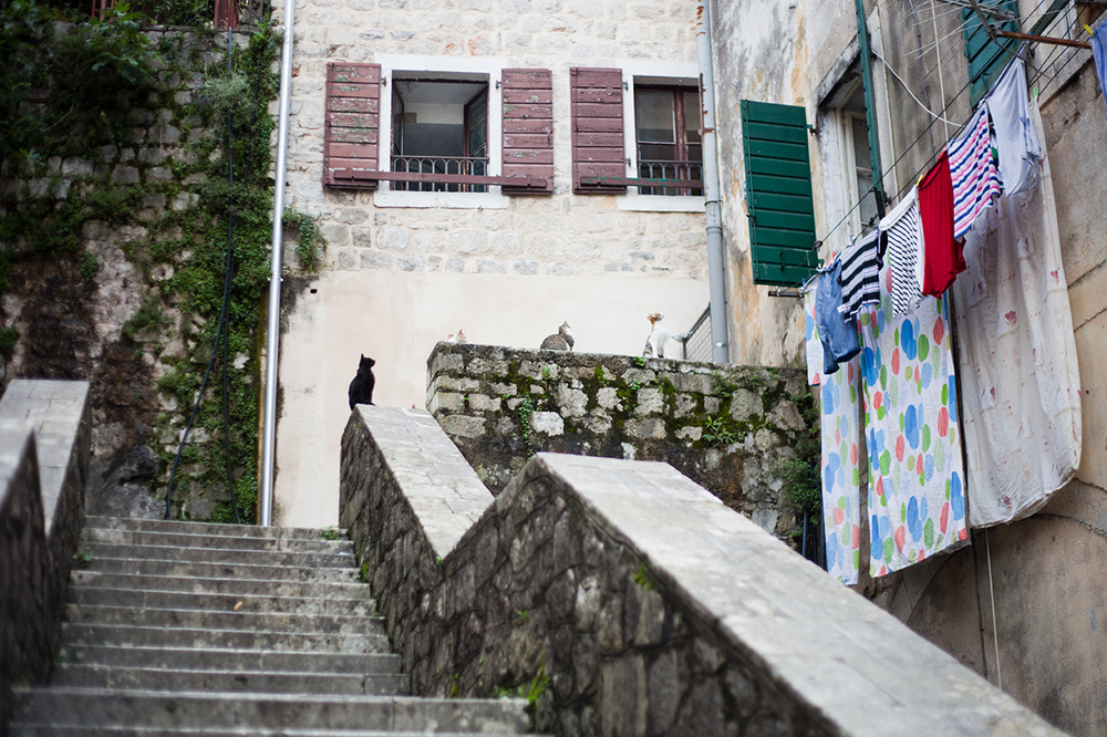 MONTENEGRO 2014