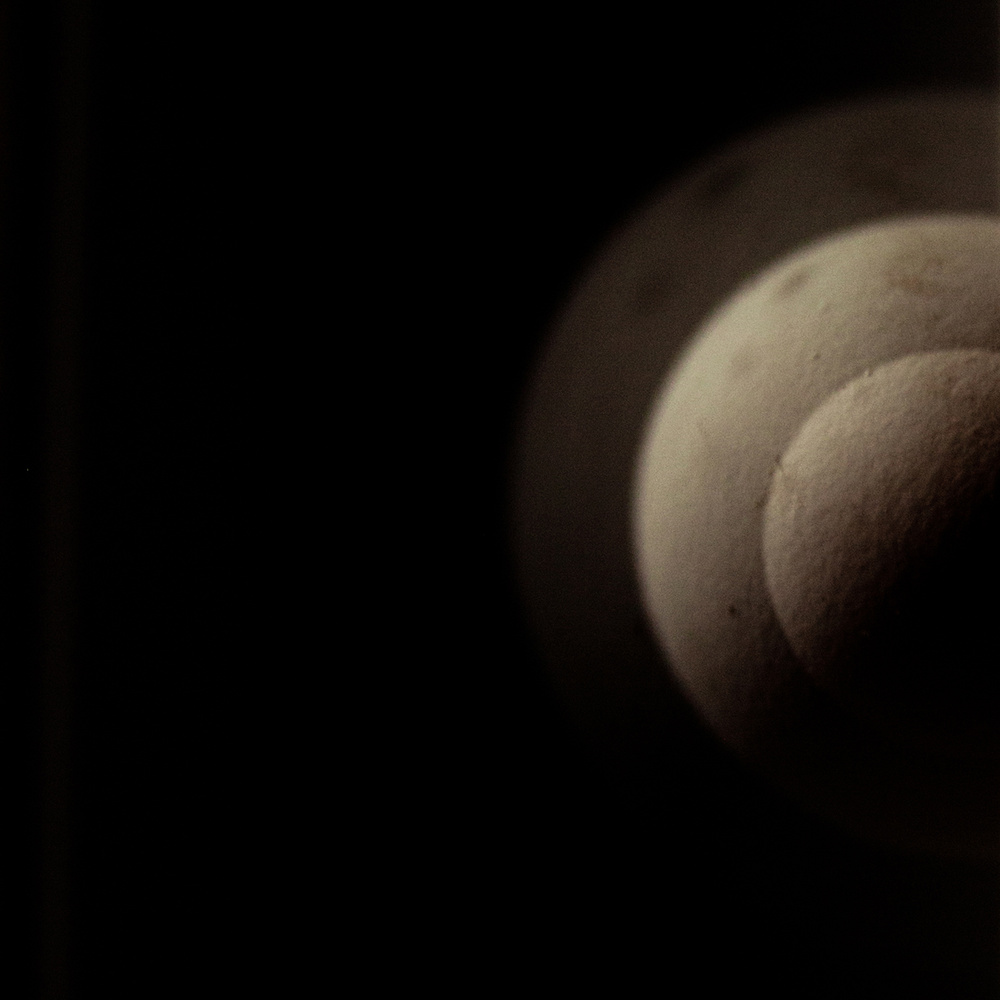 ABSTRACT