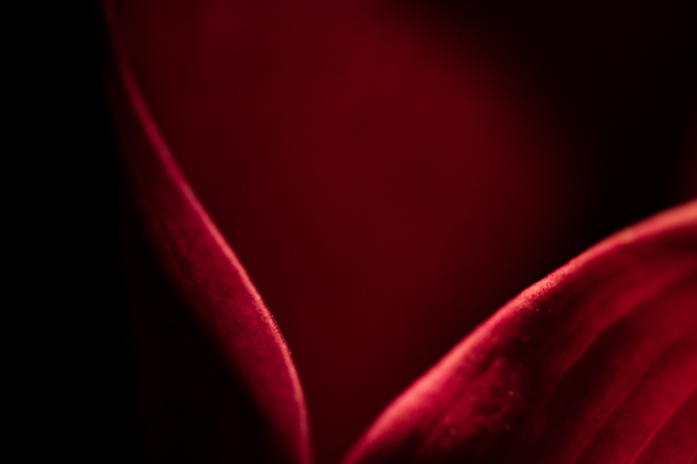 ABSTRACT