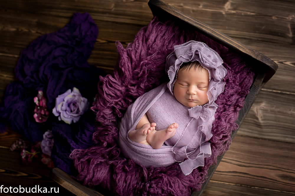 фотограф новорожденных