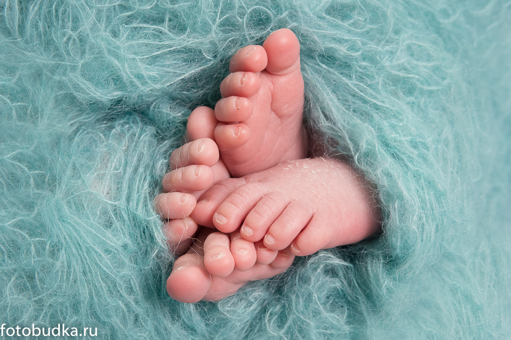 newborn