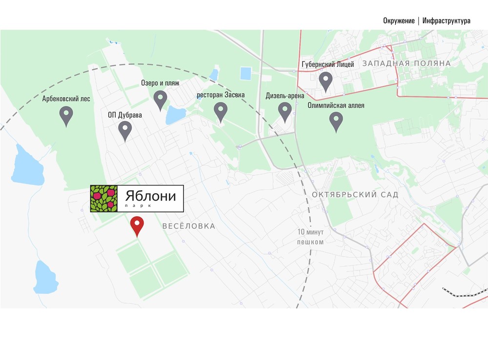 Яблони парк