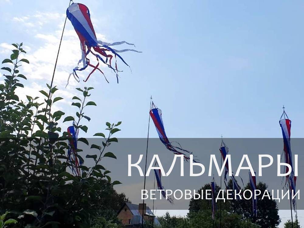 КАЛЬМАРЫ 