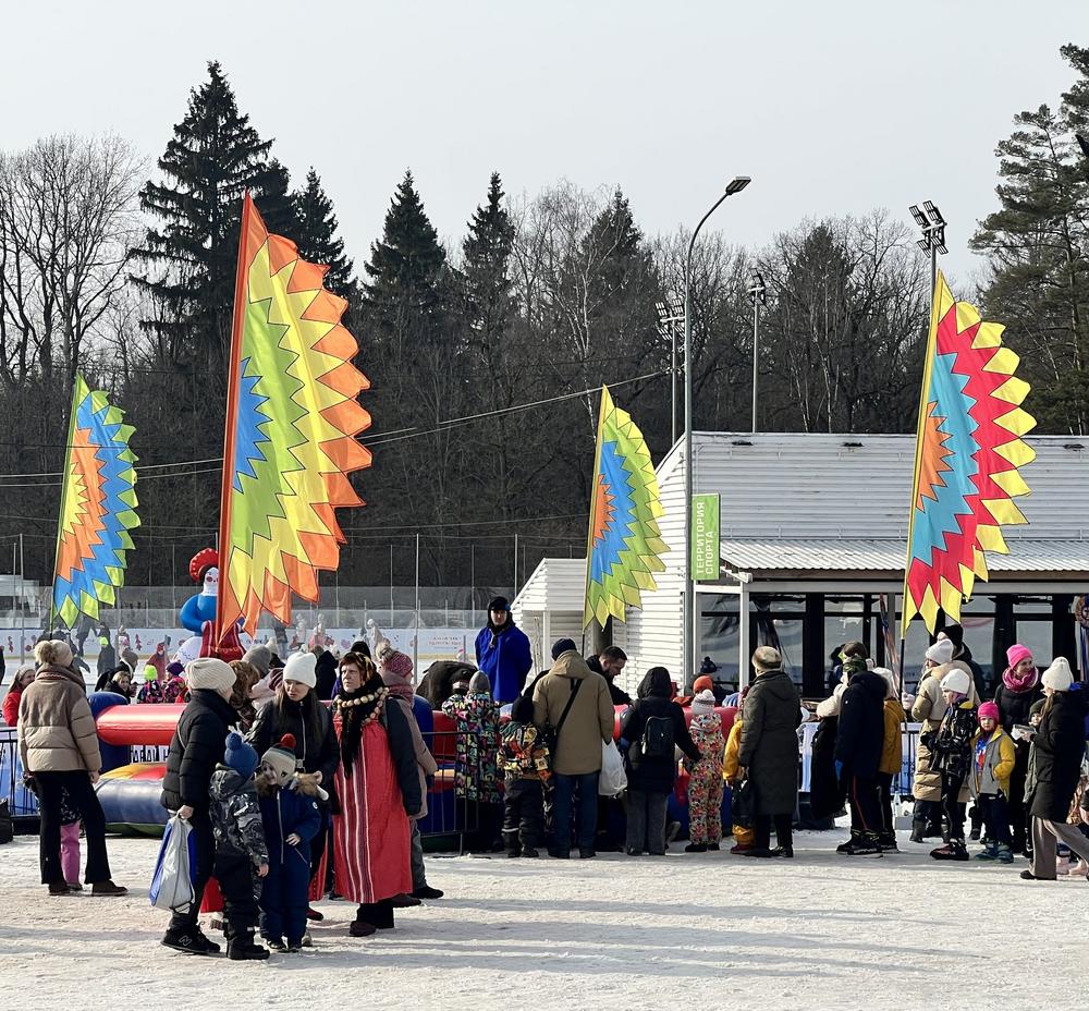 ПОДСОЛНУХИ