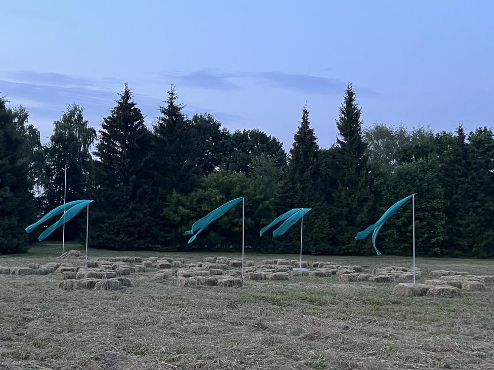 Тфлаги