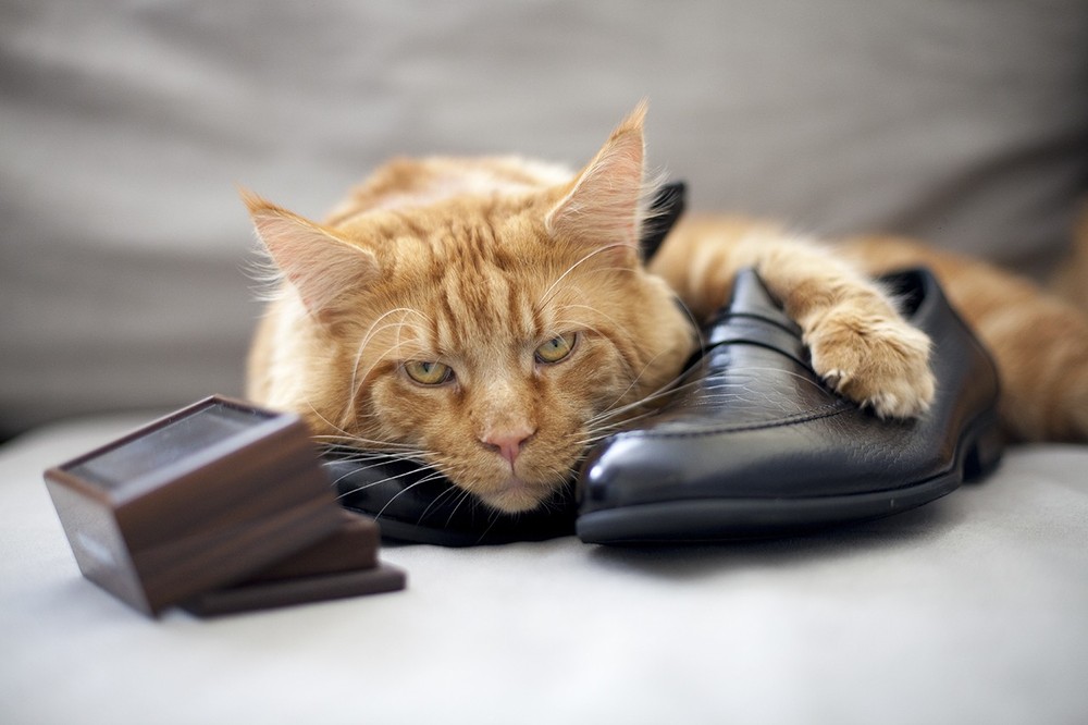 Влад и Юлия