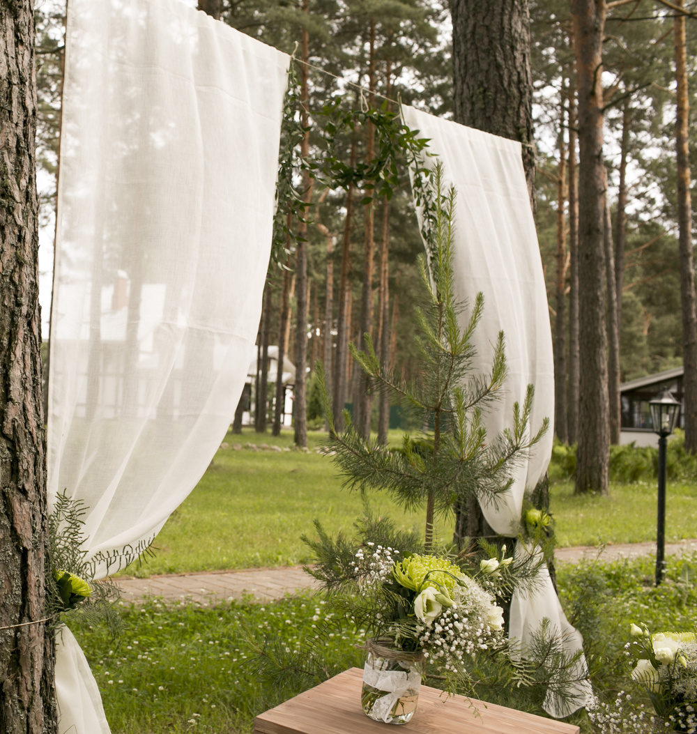 Игорь и Евгения. Лесная сказка