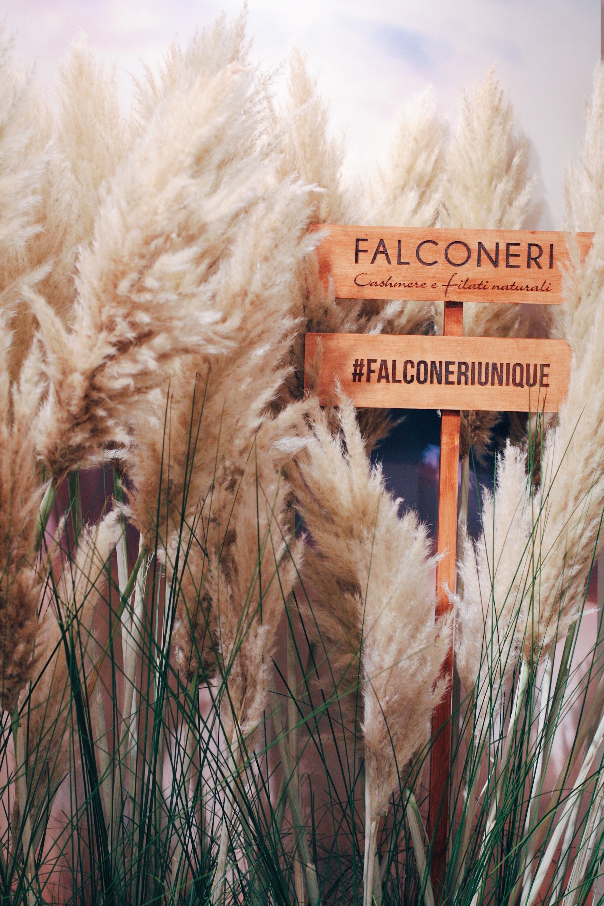 Презентация Falconeri Unique
