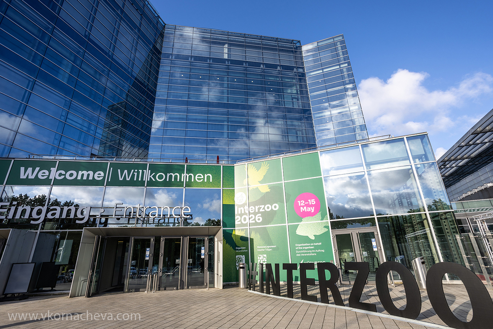 Event Photographer Nuremberg | Interzoo 2026 Exhibition Highlights