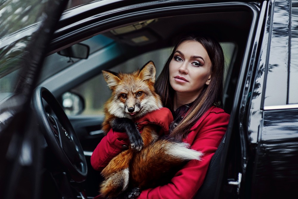 ОСЕНЬ
