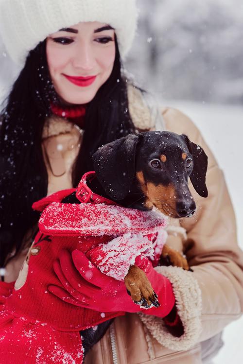 ЗИМА