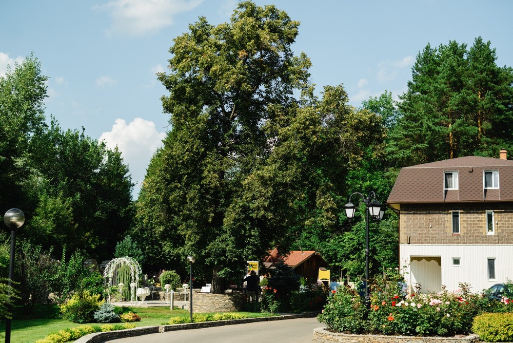 Дмитрий и Лариса